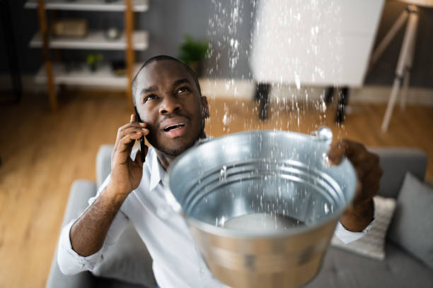 Best Water damage contractors near me  in North Conway, NH