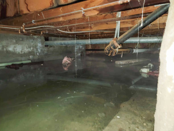 Best Ceiling water damage repair  in North Conway, NH