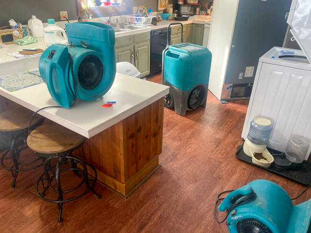 Best Water damage restoration insurance claims  in North Conway, NH