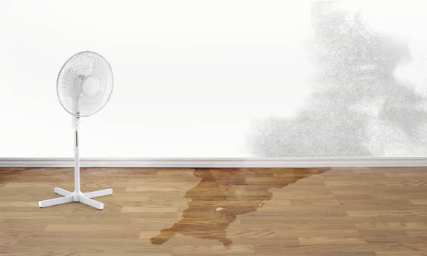 Professional Water damage restoration in North Conway, NH