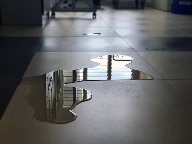 Best 24/7 water damage repair  in North Conway, NH