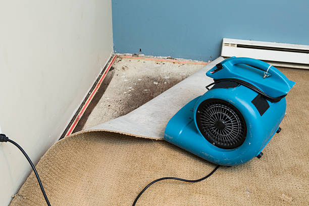Best Flood restoration services  in North Conway, NH